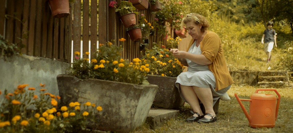 Fotografija iz filma Kada bi ovce bile roze 2